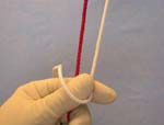 SN2